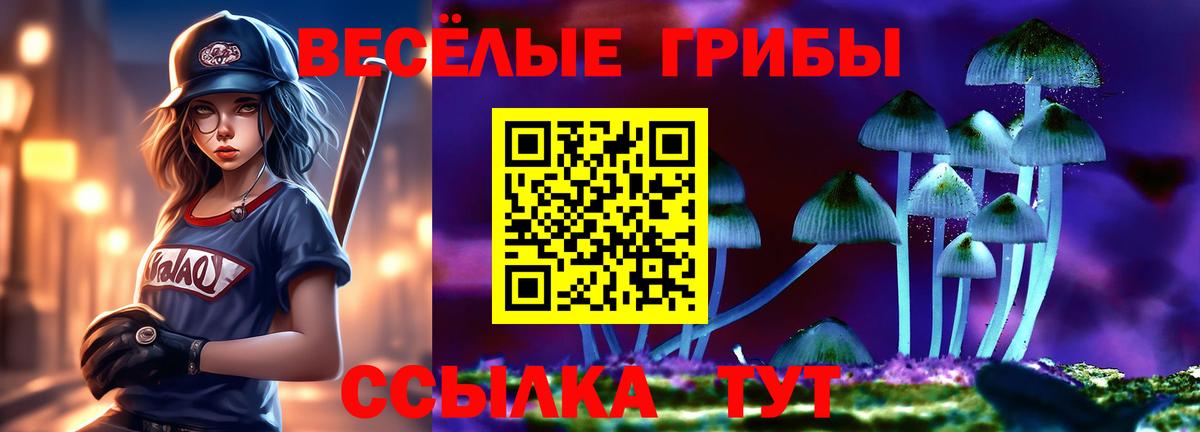 Псилоцибиновые грибы MAGIC MUSHROOMS  Галлюциногенные грибы Cubensis  Нижнеудинск  Вход с VPN 